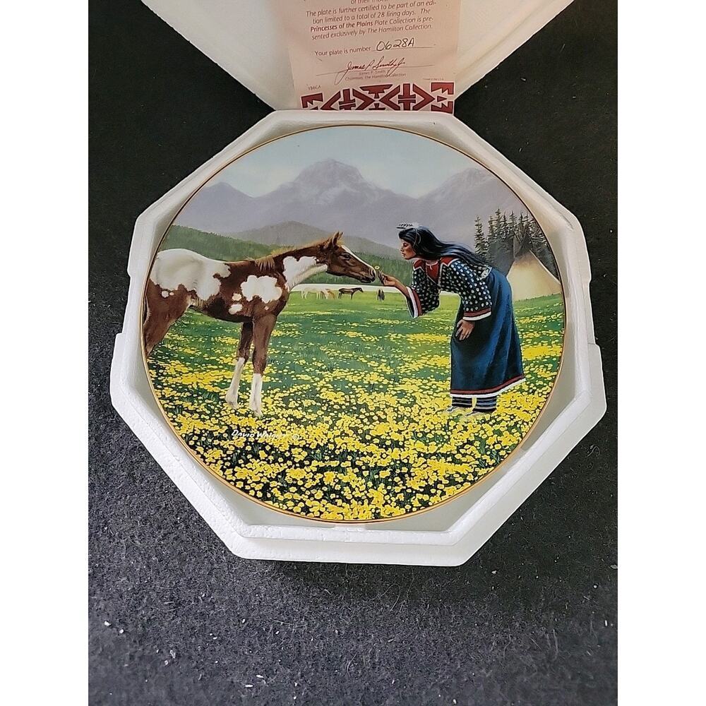David Wright Gentle Beauty Princesses of the Plains Hamilton‎ Collector Plate